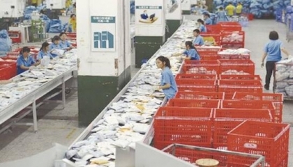 跨境電商生態圈日益成熟 東莞制造貨品加速流向全球