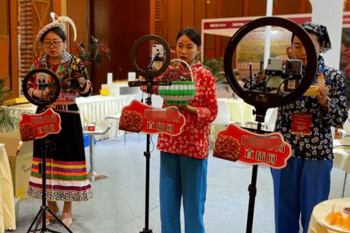 紅星觀察丨主播經紀首度納入行政監管，《網絡表演經紀機構管理辦法》征求意見稿解讀